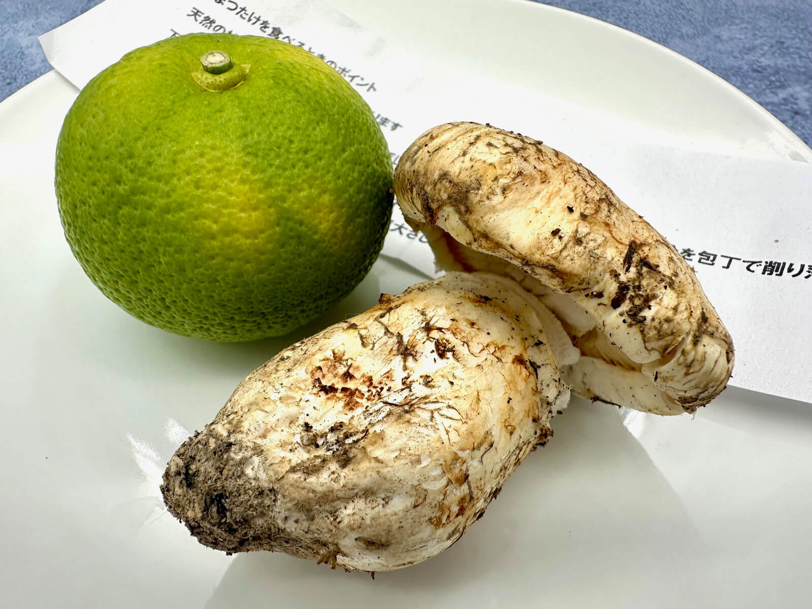 Matsutake Mushrooms in the Autumn
