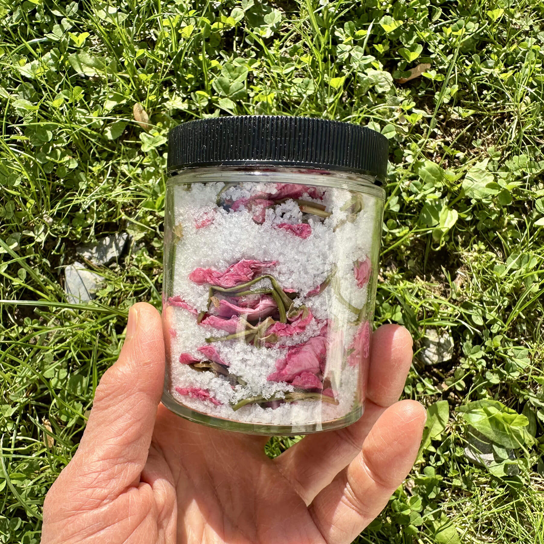 Salt-Vinegar Cured Cherry Blossoms