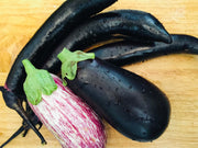 Fried Eggplant Udon
