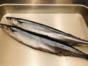 How to Grill Sanma (Pacific Saury)