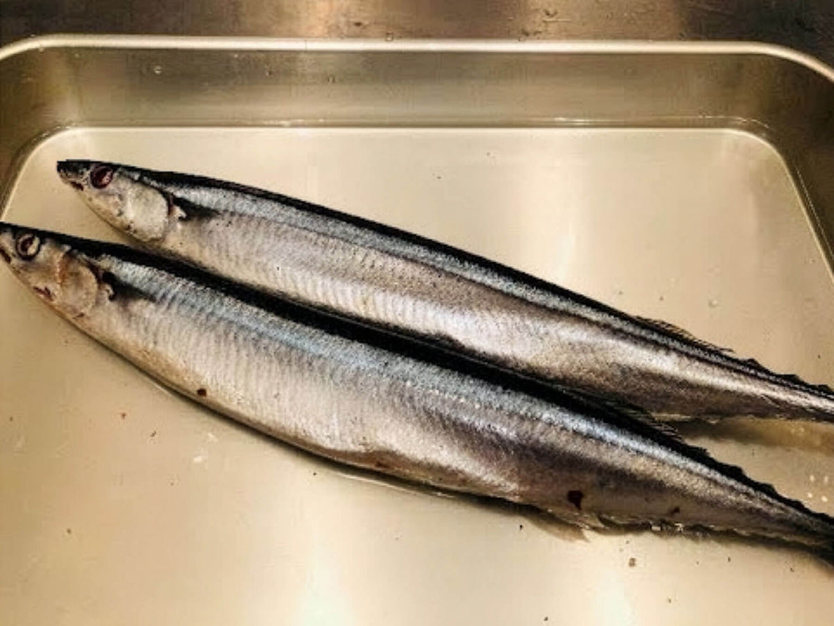 How to Grill Sanma (Pacific Saury)