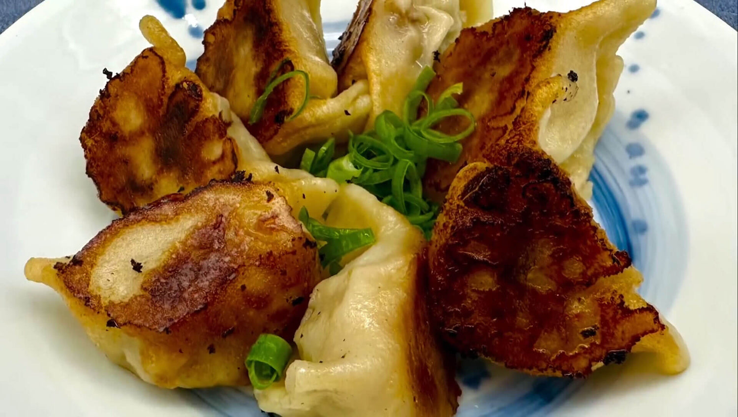 Gyoza Potstickers