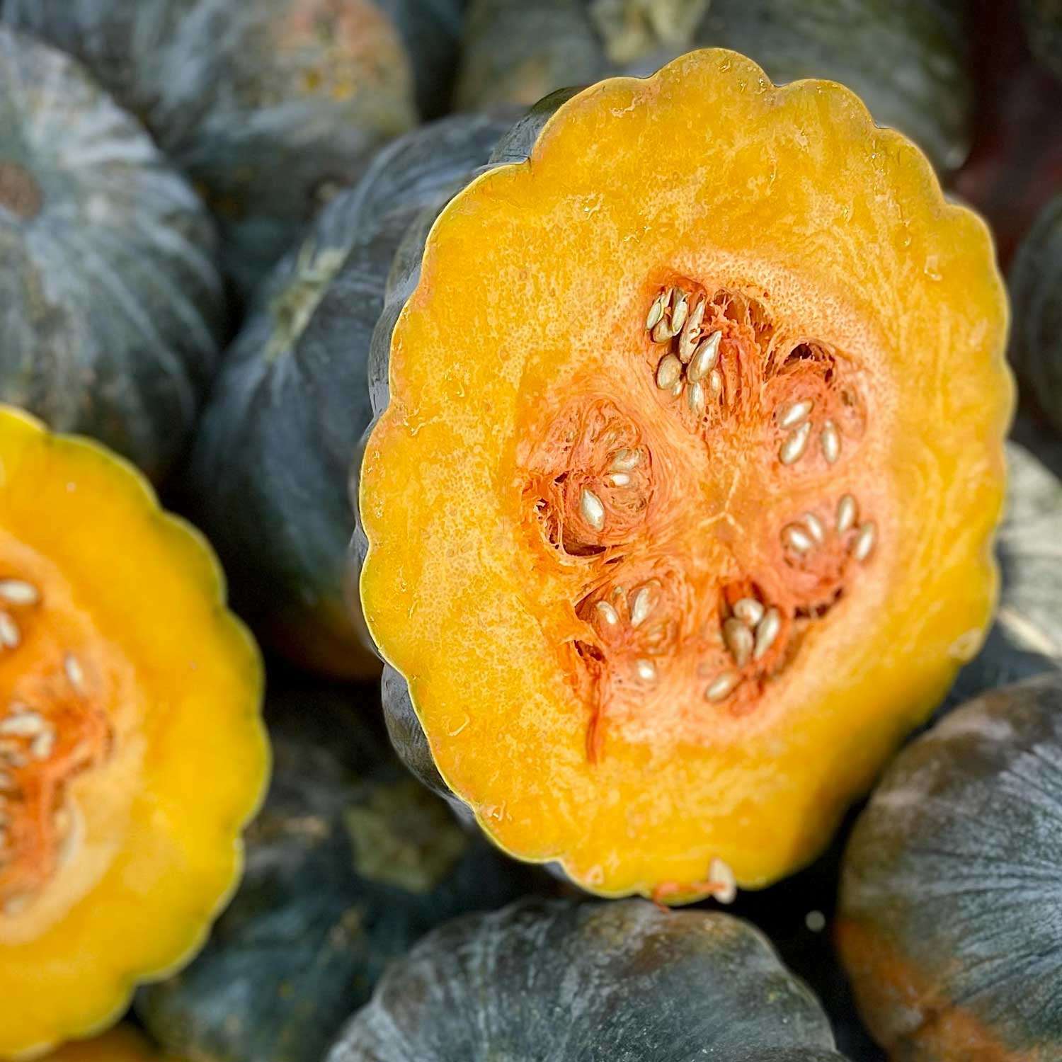 Kabocha Squash