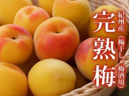 Umeboshi (Salt-Pickled Ume Plums)