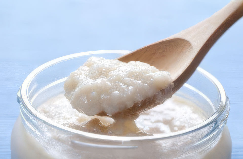 Homemade Shio-koji