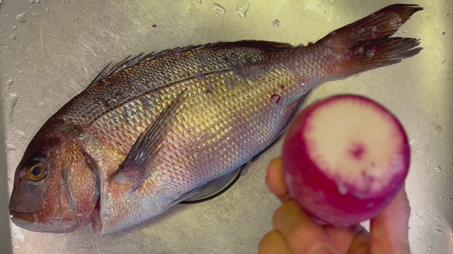 Load video: Scaling Fish with a Daikon Radish