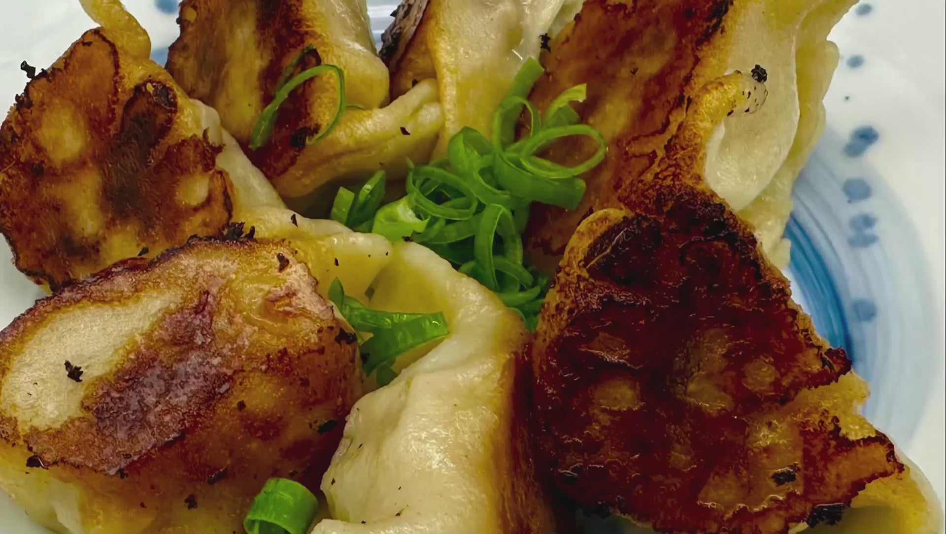 Load video: Gyoza Potstickers