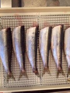 cleaned herring (2)